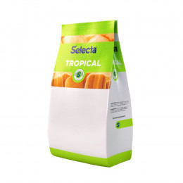 Selecta Tropical Limão Galego Duas Rodas 1 Kg