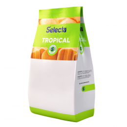 Selecta Tropical Guaraná Duas Rodas 1kg