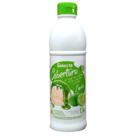 Cobertura para sorvete 1,3 kg Selecta(Taça)